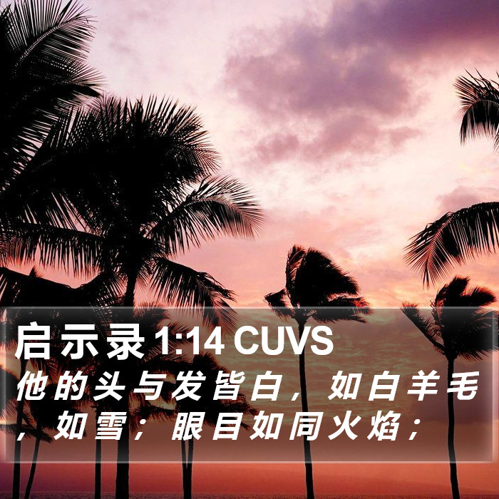 启 示 录 1:14 CUVS Bible Study