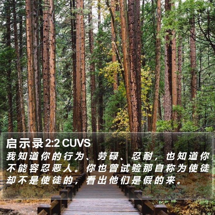 启 示 录 2:2 CUVS Bible Study