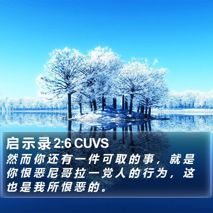 启 示 录 2:6 CUVS Bible Study