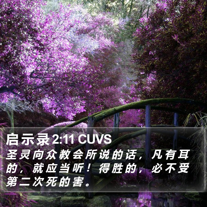 启 示 录 2:11 CUVS Bible Study