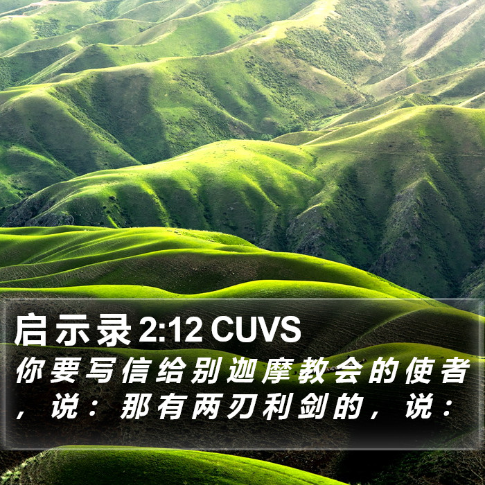 启 示 录 2:12 CUVS Bible Study