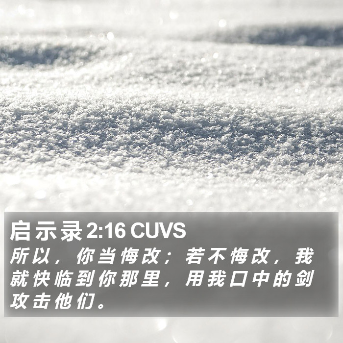 启 示 录 2:16 CUVS Bible Study