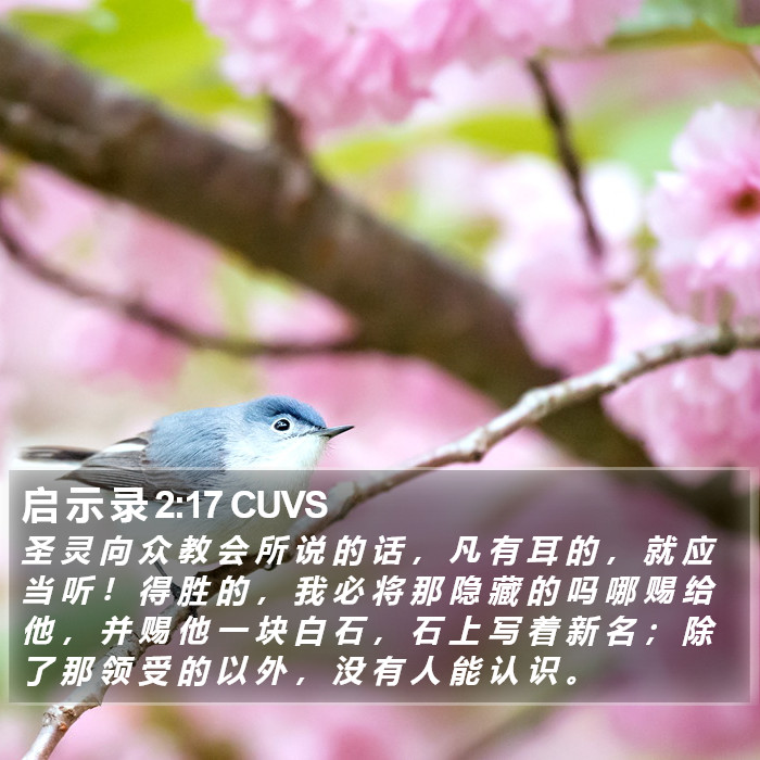 启 示 录 2:17 CUVS Bible Study
