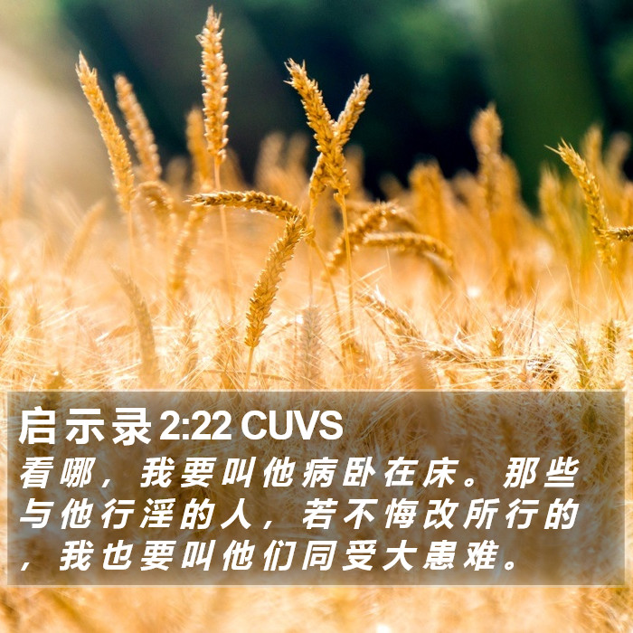 启 示 录 2:22 CUVS Bible Study