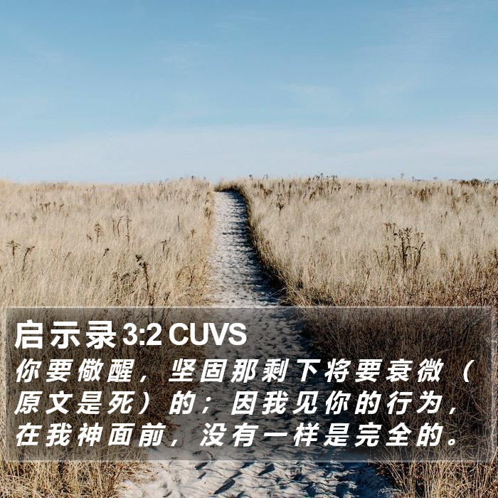 启 示 录 3:2 CUVS Bible Study