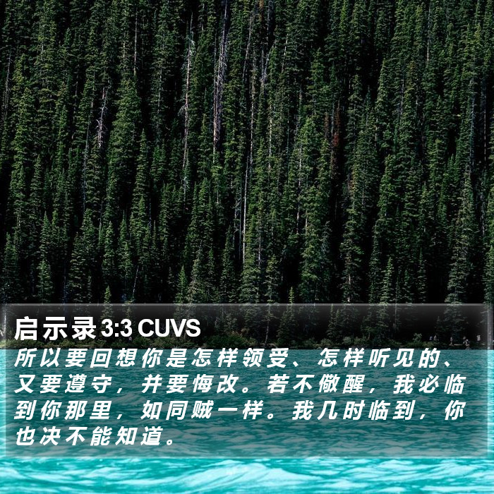 启 示 录 3:3 CUVS Bible Study