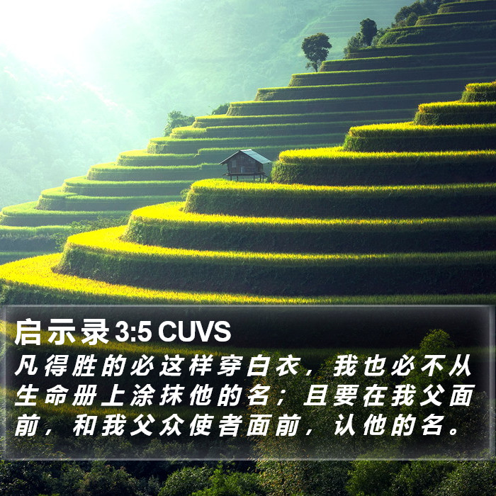 启 示 录 3:5 CUVS Bible Study