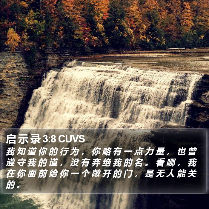 启 示 录 3:8 CUVS Bible Study