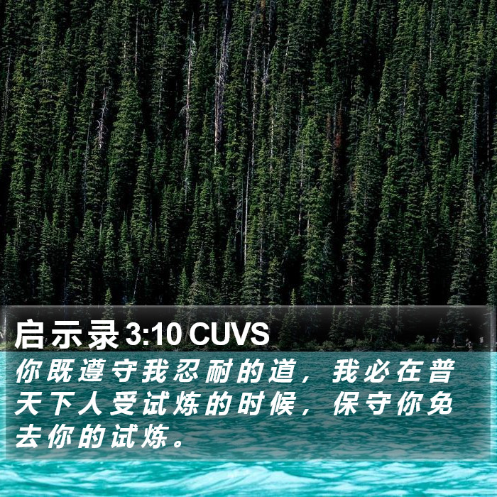 启 示 录 3:10 CUVS Bible Study