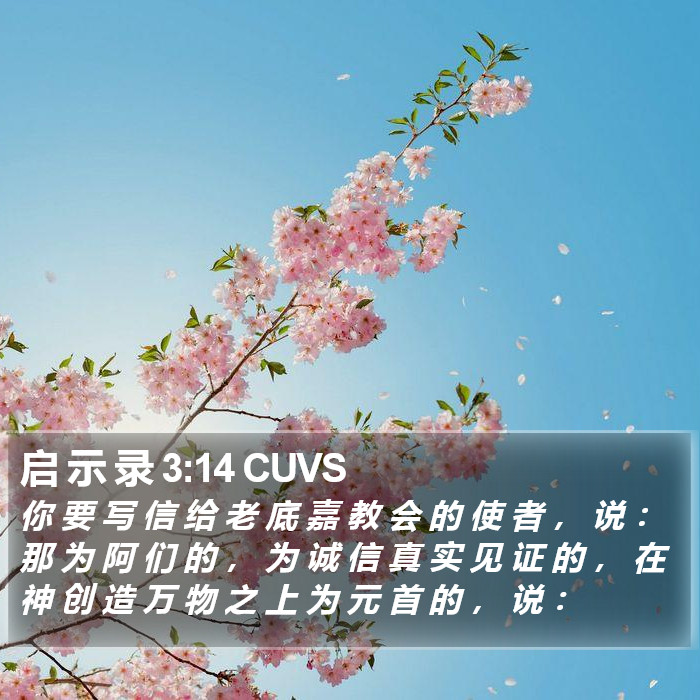 启 示 录 3:14 CUVS Bible Study