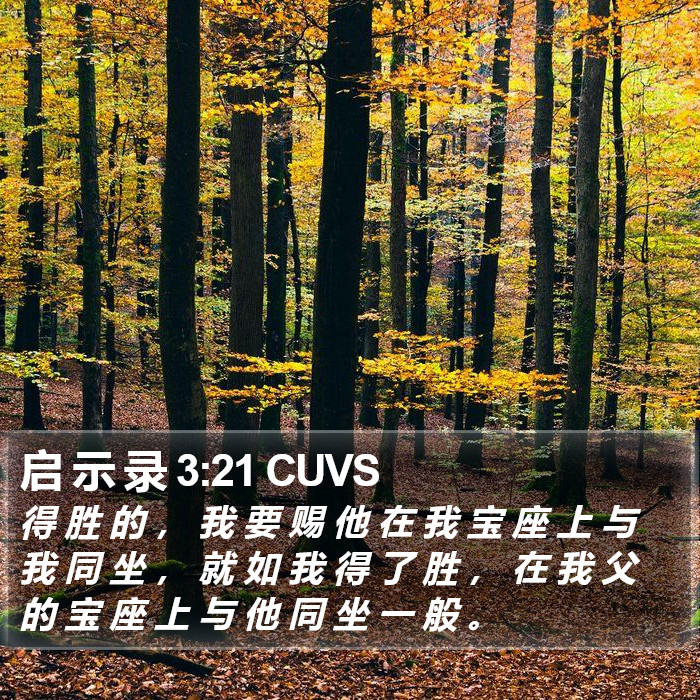 启 示 录 3:21 CUVS Bible Study