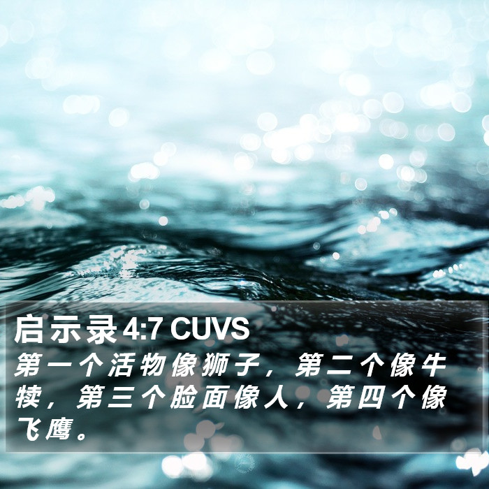 启 示 录 4:7 CUVS Bible Study