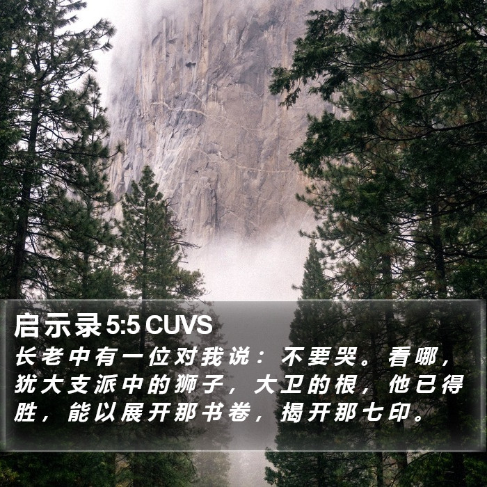启 示 录 5:5 CUVS Bible Study