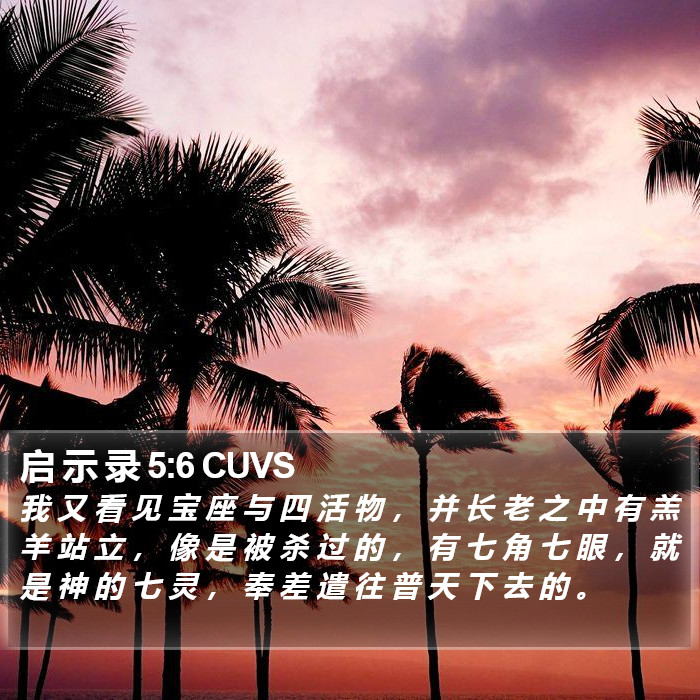 启 示 录 5:6 CUVS Bible Study