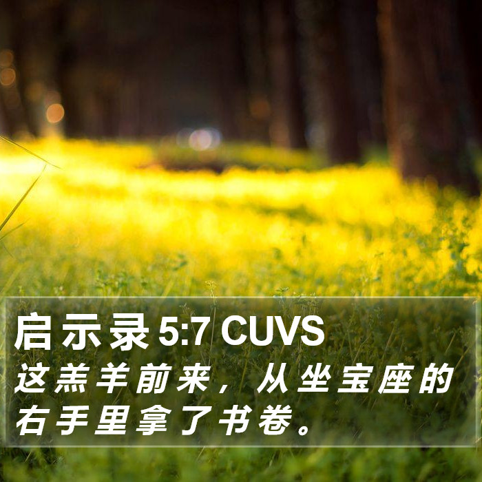 启 示 录 5:7 CUVS Bible Study