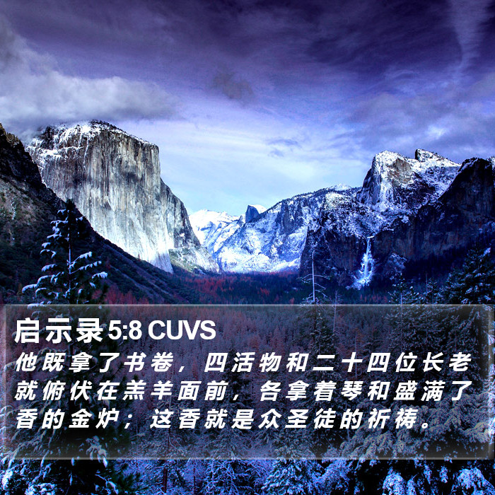启 示 录 5:8 CUVS Bible Study