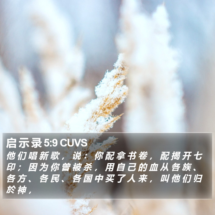 启 示 录 5:9 CUVS Bible Study