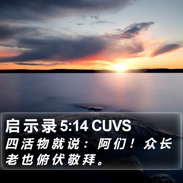 启 示 录 5:14 CUVS Bible Study