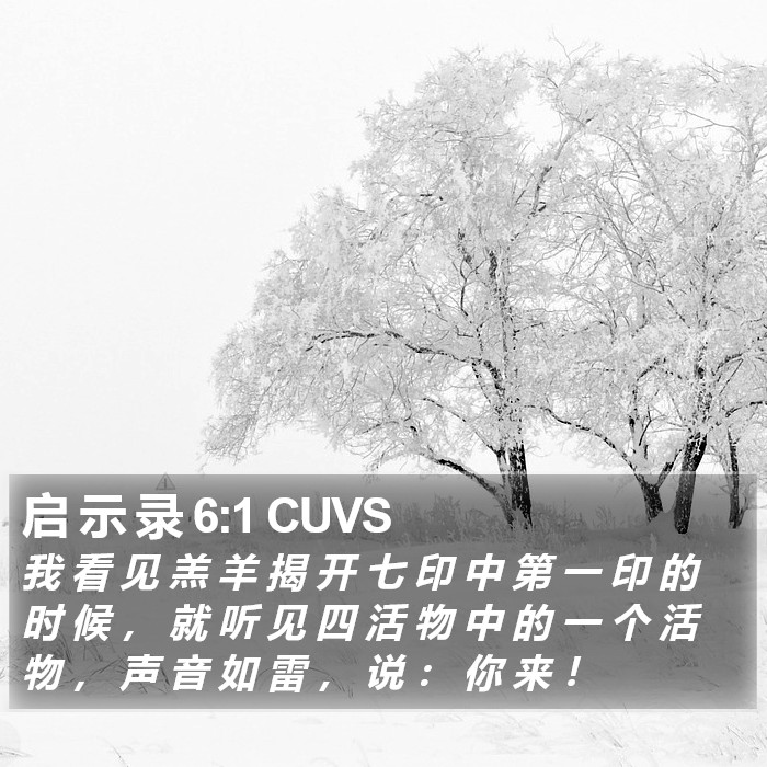 启 示 录 6:1 CUVS Bible Study