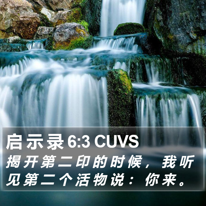 启 示 录 6:3 CUVS Bible Study