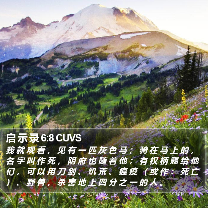 启 示 录 6:8 CUVS Bible Study