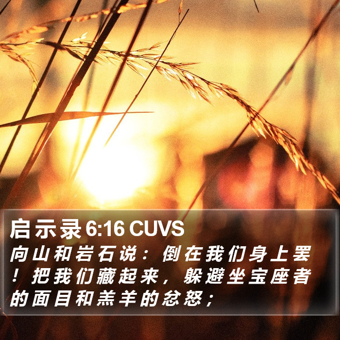 启 示 录 6:16 CUVS Bible Study