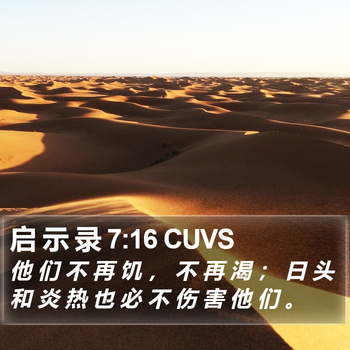 启 示 录 7:16 CUVS Bible Study