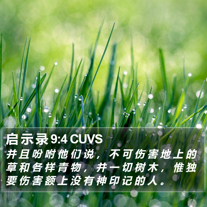 启 示 录 9:4 CUVS Bible Study
