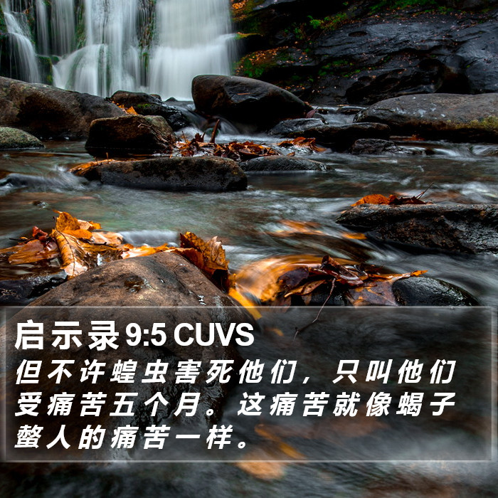 启 示 录 9:5 CUVS Bible Study