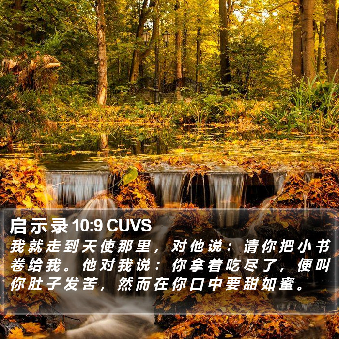 启 示 录 10:9 CUVS Bible Study