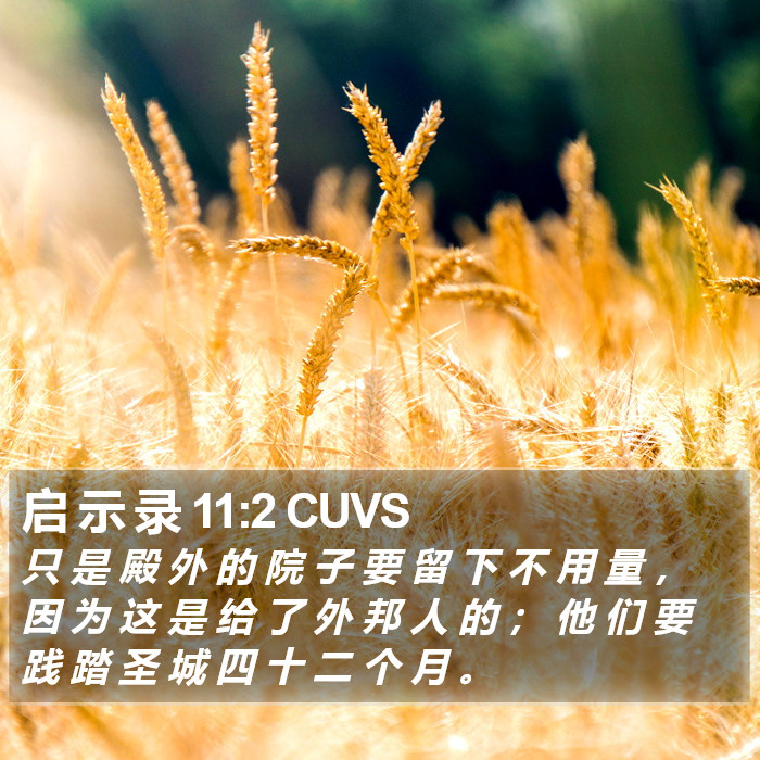 启 示 录 11:2 CUVS Bible Study