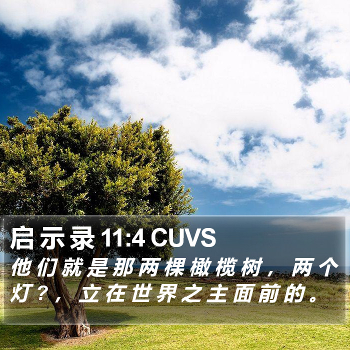 启 示 录 11:4 CUVS Bible Study