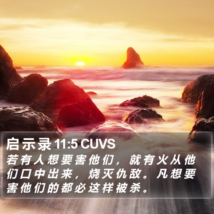 启 示 录 11:5 CUVS Bible Study