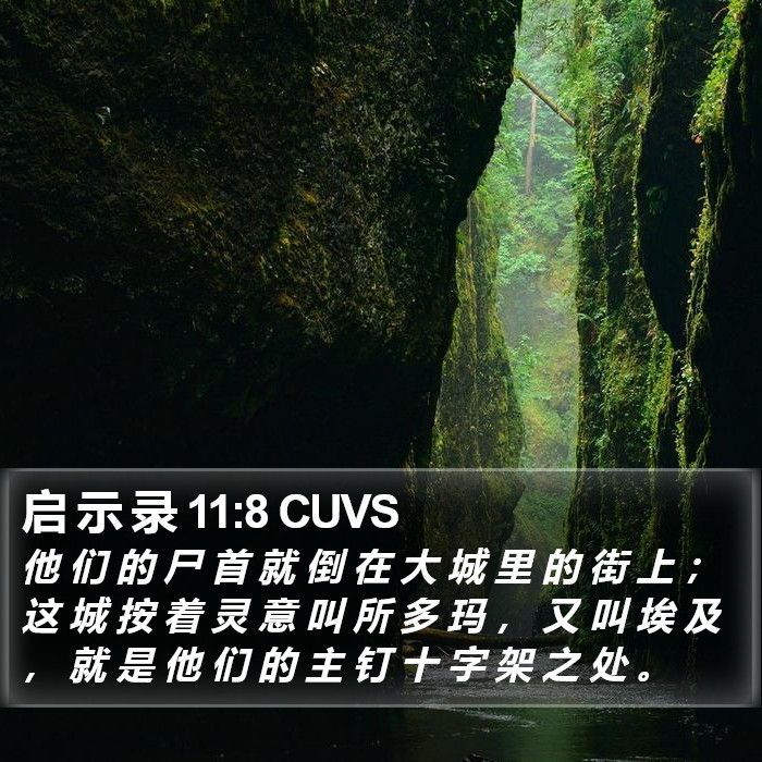 启 示 录 11:8 CUVS Bible Study