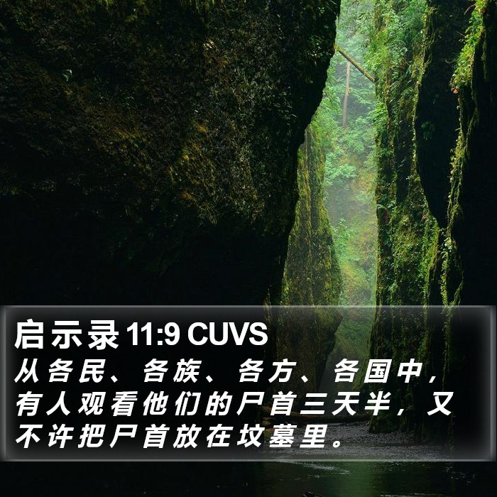 启 示 录 11:9 CUVS Bible Study