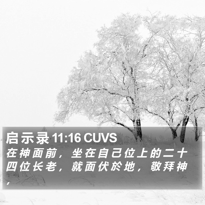 启 示 录 11:16 CUVS Bible Study