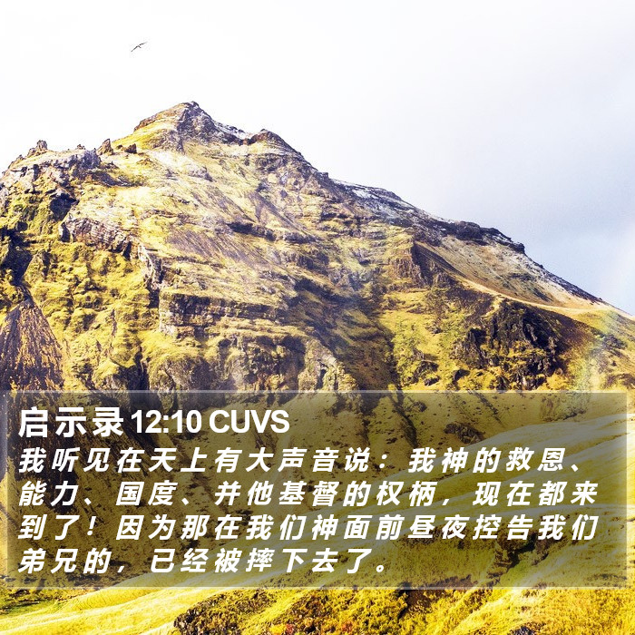 启 示 录 12:10 CUVS Bible Study