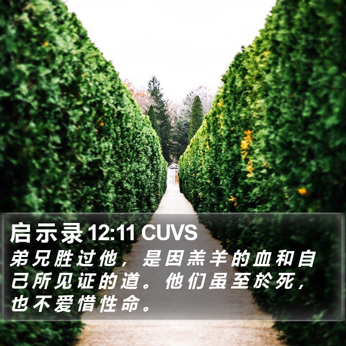 启 示 录 12:11 CUVS Bible Study