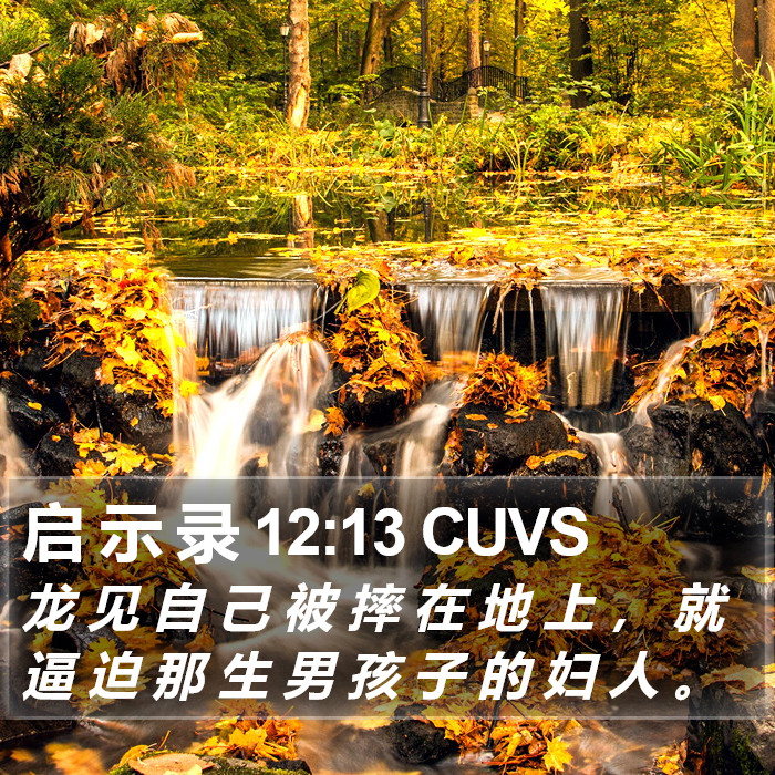 启 示 录 12:13 CUVS Bible Study