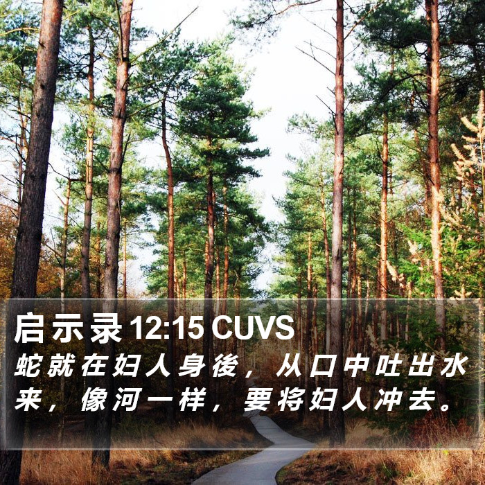 启 示 录 12:15 CUVS Bible Study