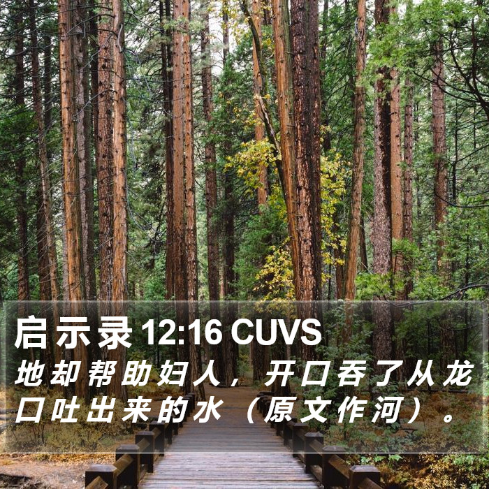 启 示 录 12:16 CUVS Bible Study