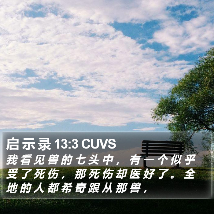 启 示 录 13:3 CUVS Bible Study