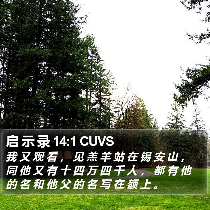 启 示 录 14:1 CUVS Bible Study