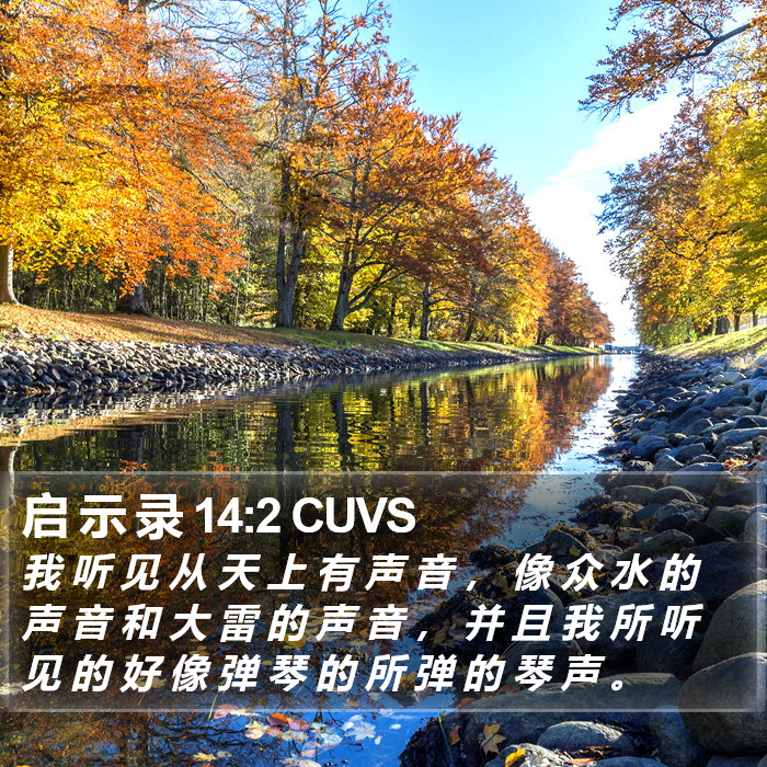 启 示 录 14:2 CUVS Bible Study