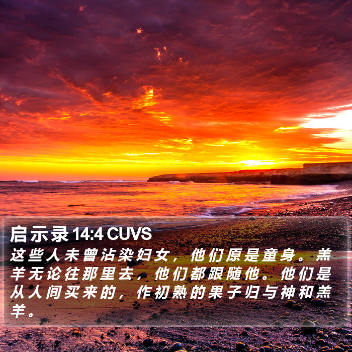 启 示 录 14:4 CUVS Bible Study