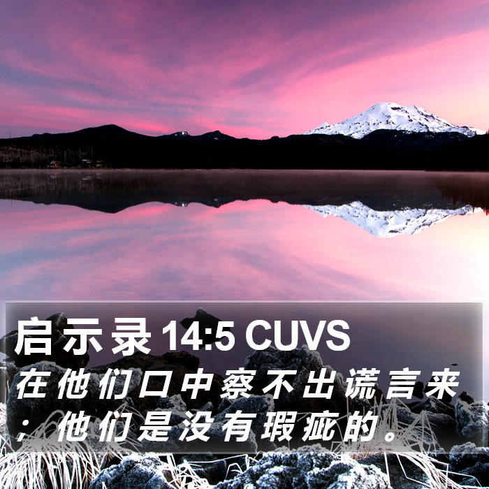 启 示 录 14:5 CUVS Bible Study