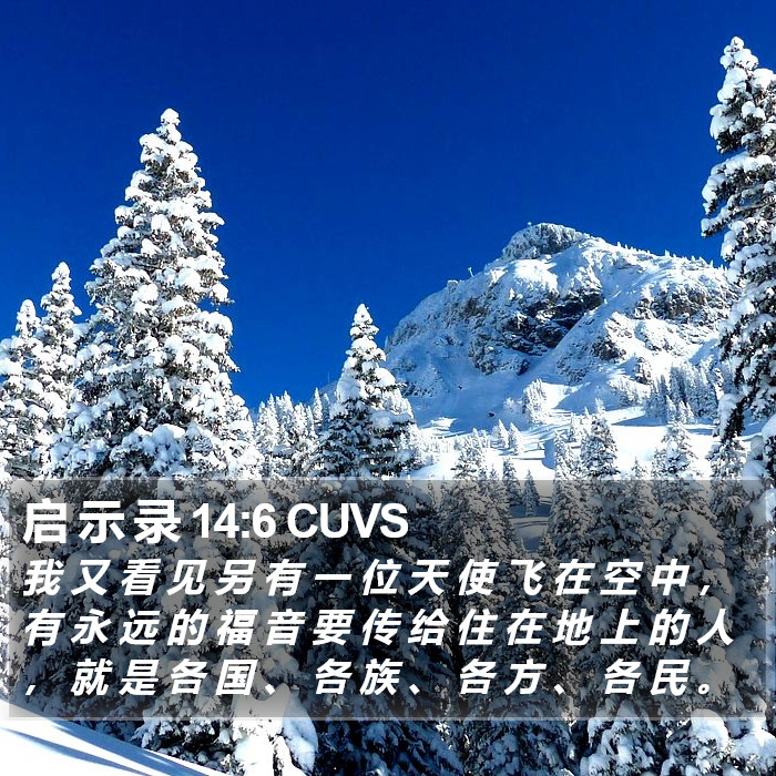 启 示 录 14:6 CUVS Bible Study