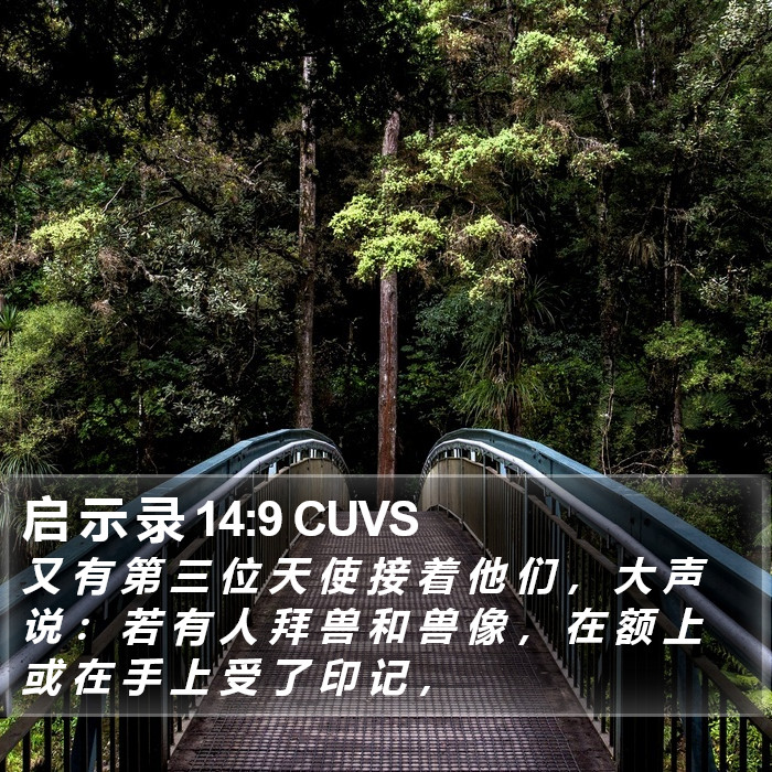 启 示 录 14:9 CUVS Bible Study