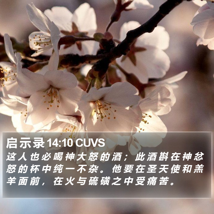 启 示 录 14:10 CUVS Bible Study