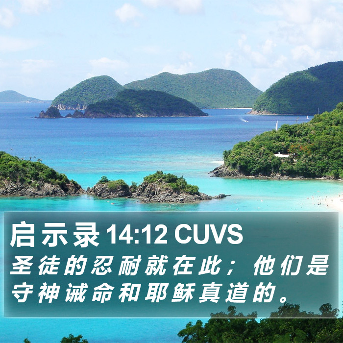 启 示 录 14:12 CUVS Bible Study